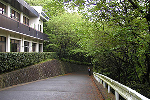 玄関までの道には両側に桜の木があり、入学式の頃にはとても綺麗です 玄関までの道には両側に桜の木があり、入学式の頃にはとても綺麗です